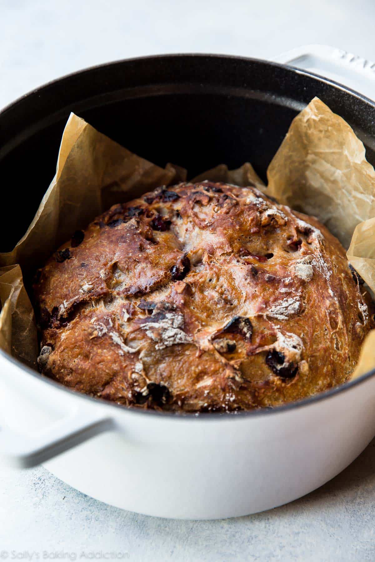 cranberry nut bread in a dutch oven after baking