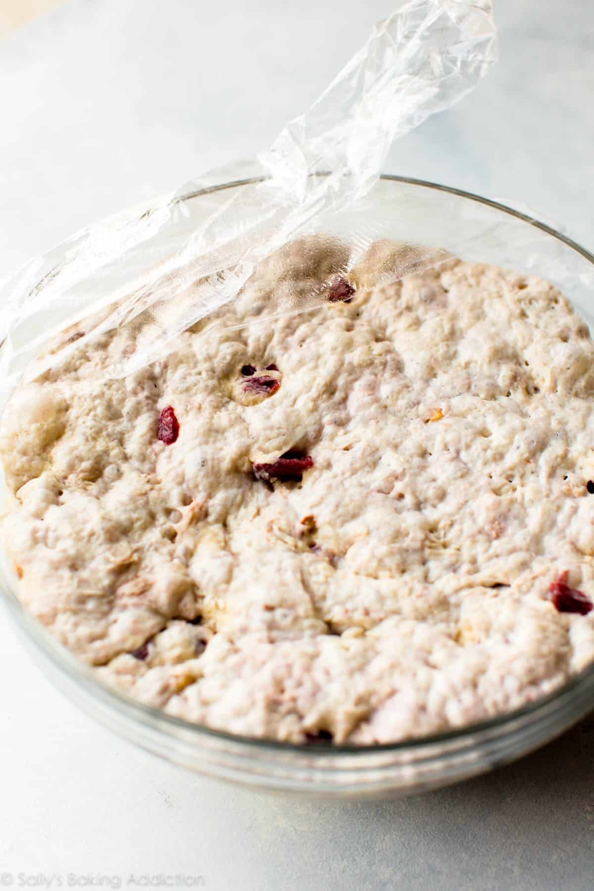 cranberry nut dough in a glass bowl after rising