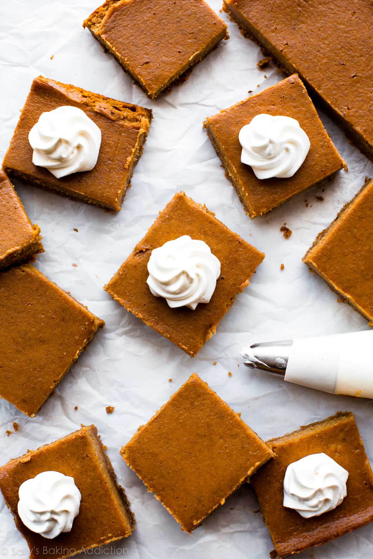 overhead image of pumpkin pie bars with whipped cream