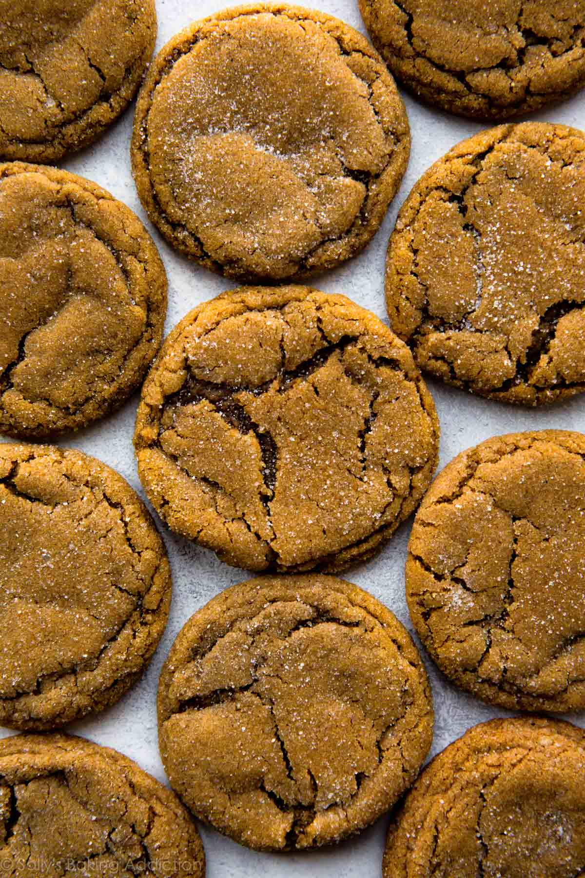molasses cookies