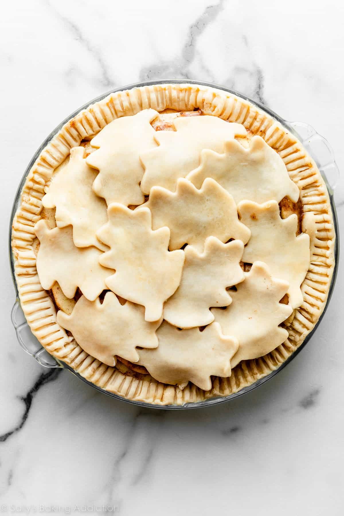 unbaked pie with 12 big leaf pie dough shapes arranged on top.