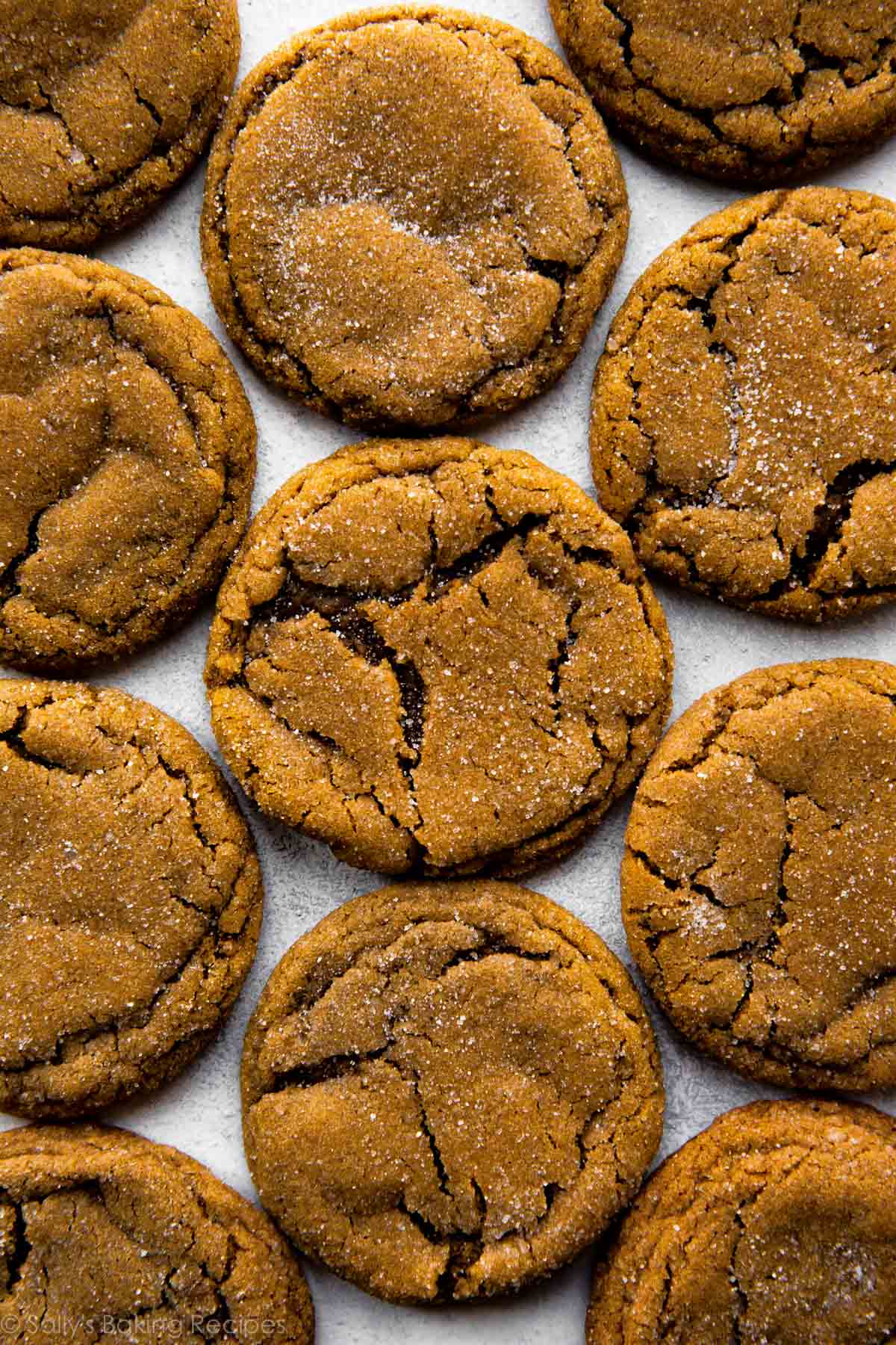 soft-baked molasses crinkle cookies overhead photo.