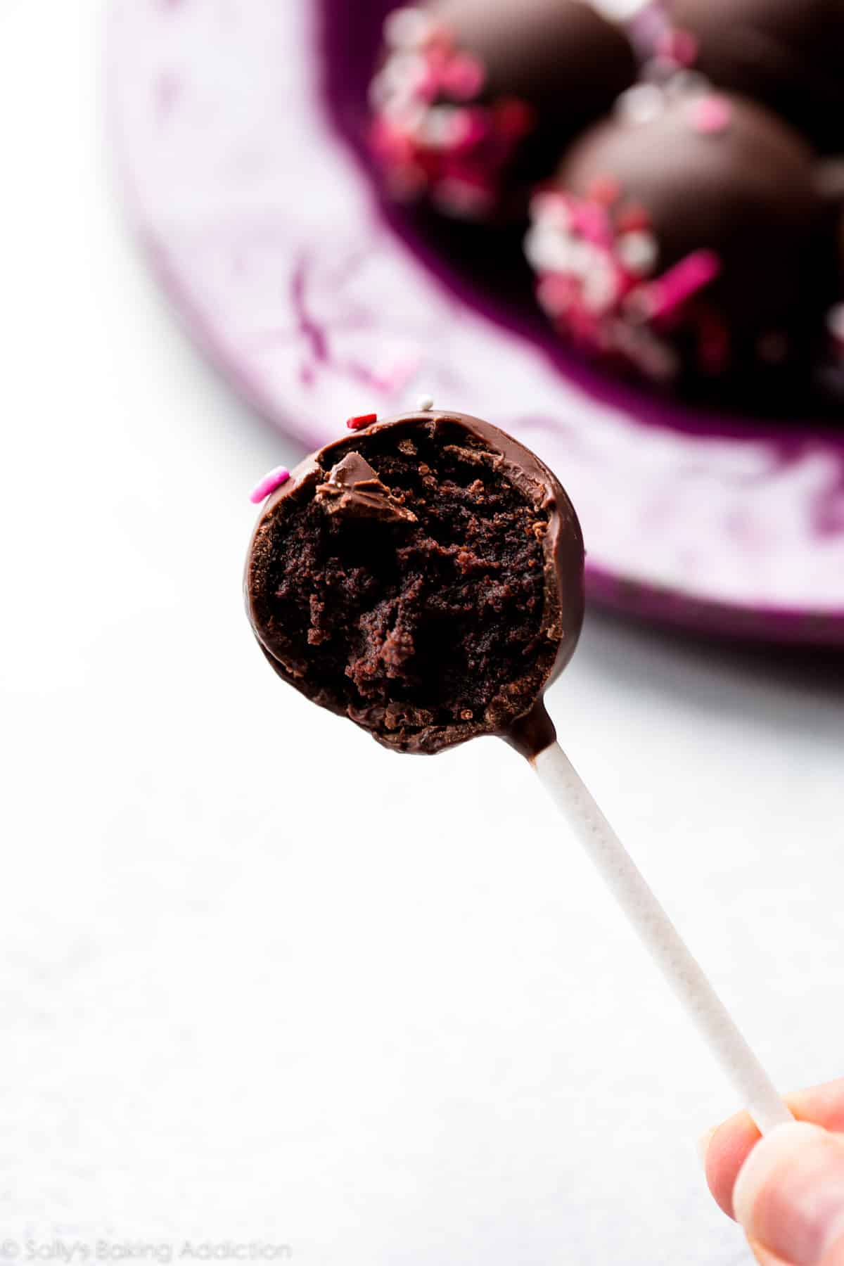 Uitstroom Arab rib Chocolate Cake Pops - Sally's Baking Addiction