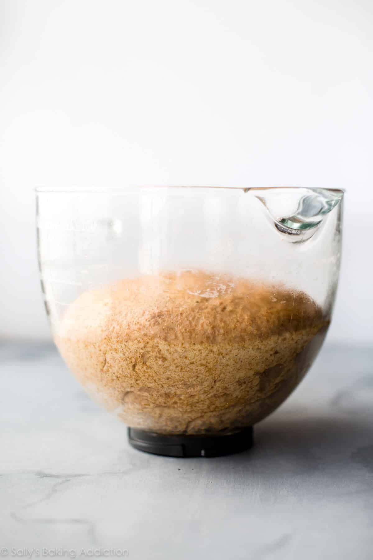 whole wheat dough rising in a glass bowl