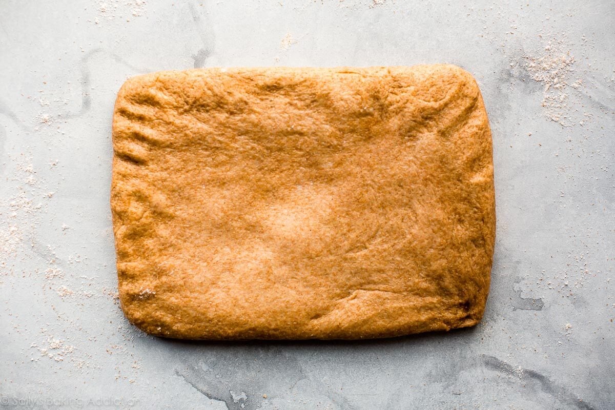 whole wheat dough rolled into a rectangle