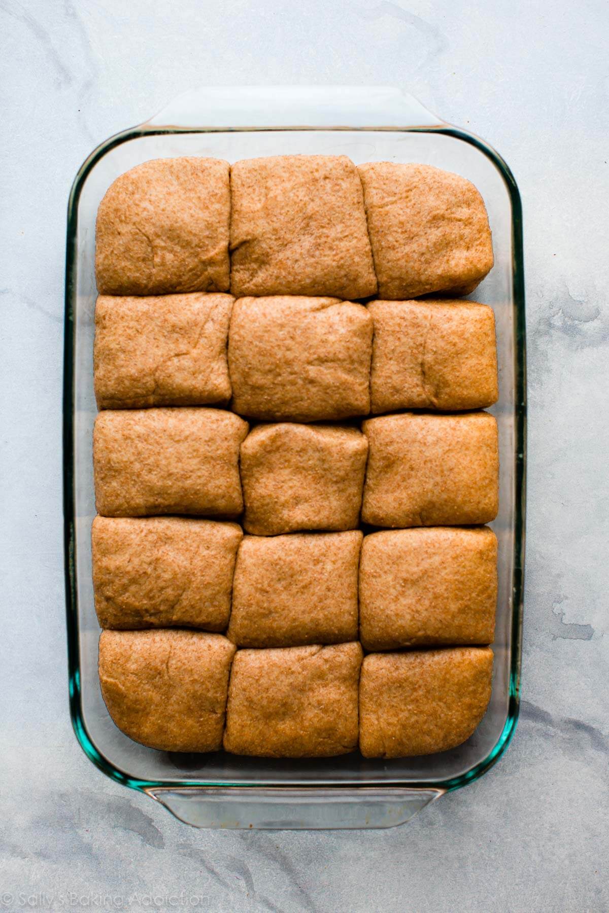 whole wheat dinner rolls in a glass baking dish before baking