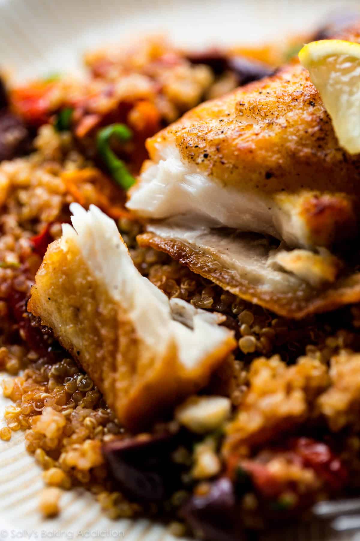 crispy pan-seared halibut with quinoa on a plate
