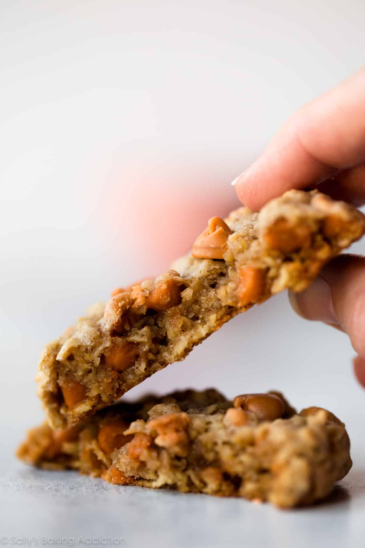 hand holding an oatmeal scotchie cookie