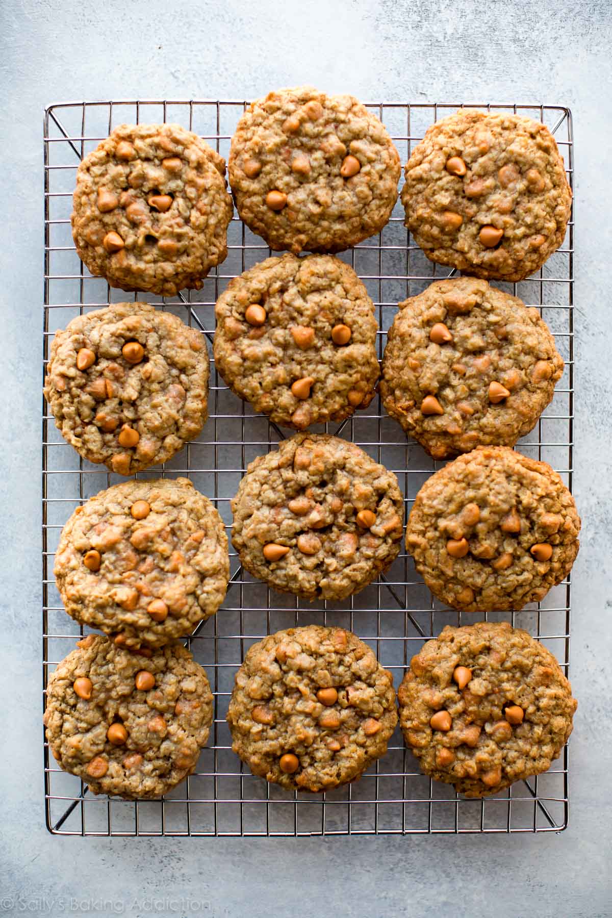 overhead image of oatmeal scotchies on a cooling rack