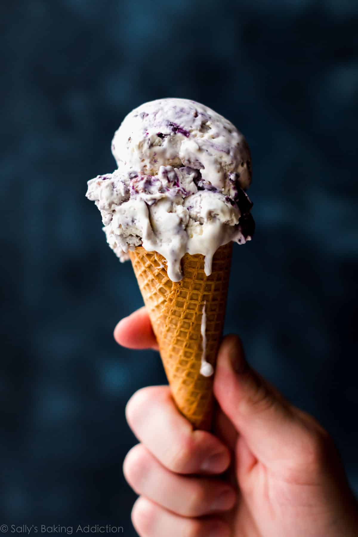 Blueberry Crumble Ice Cream - Sallys Baking Addiction