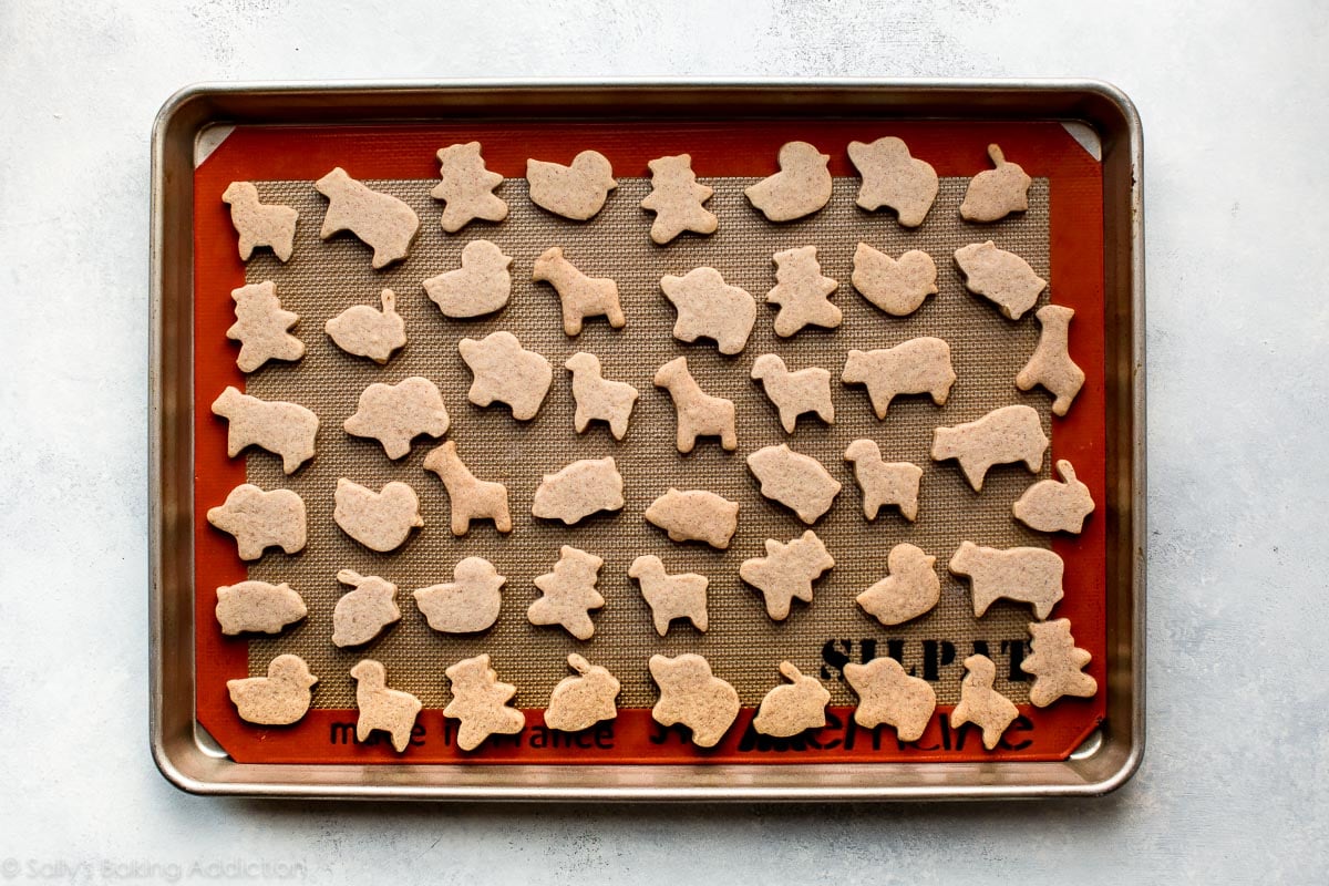 animal cracker cookies on baking sheet