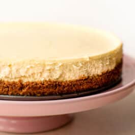 Perfect cheesecake on a pink cake stand