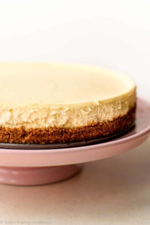 Perfect cheesecake on a pink cake stand