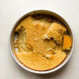 sponge cake in a cake pan
