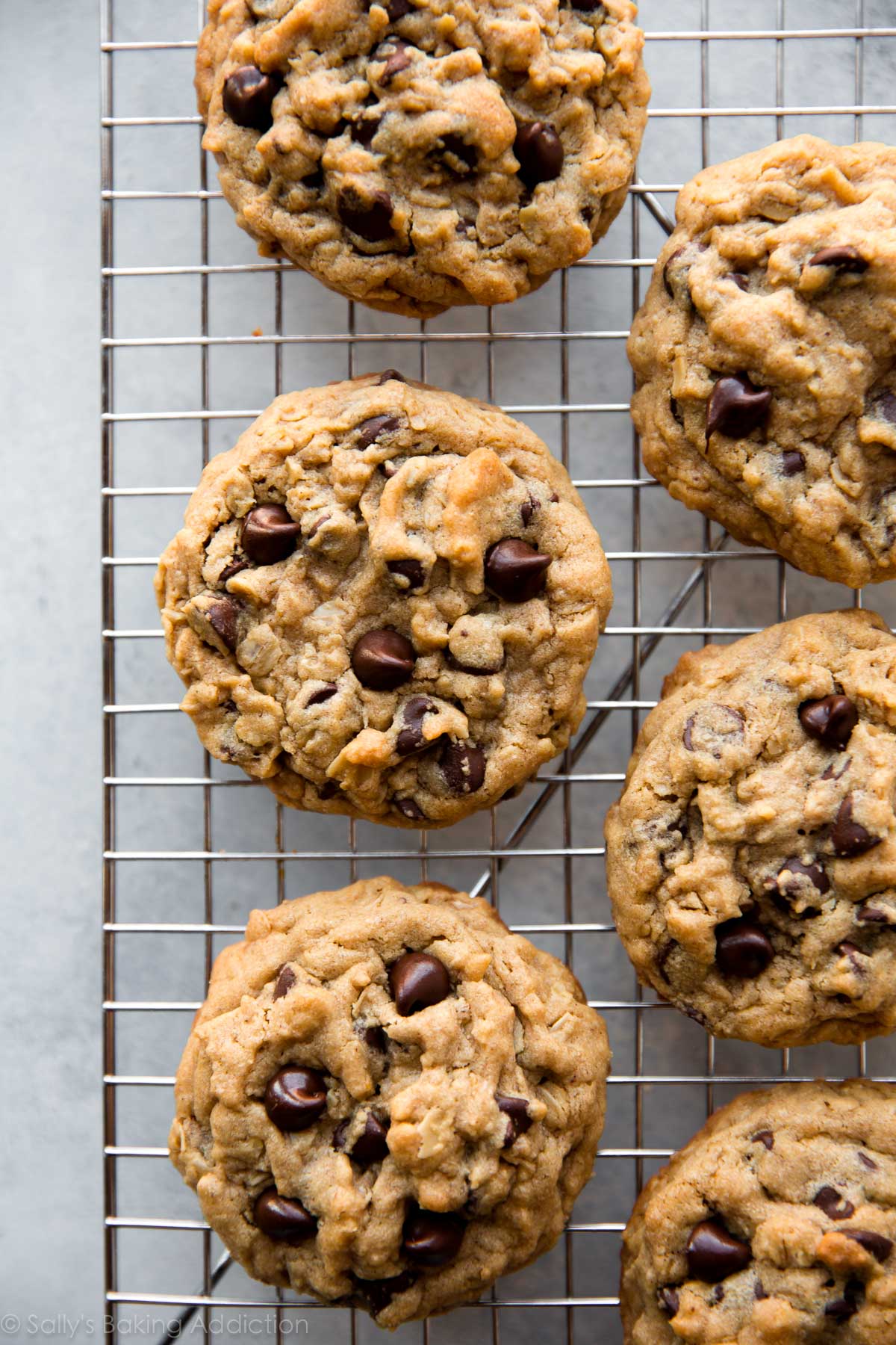 peanut butter oatmeal chocolate chip cookies on a cooling rack