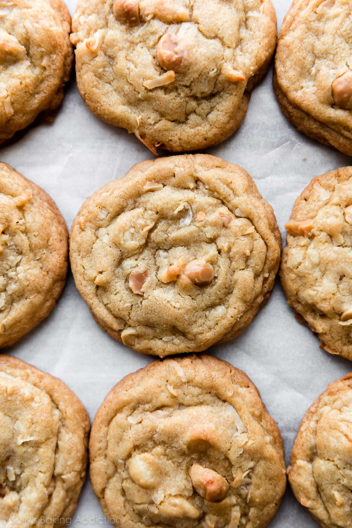 Macadamia Nut Cookies Recipe - Design Corral