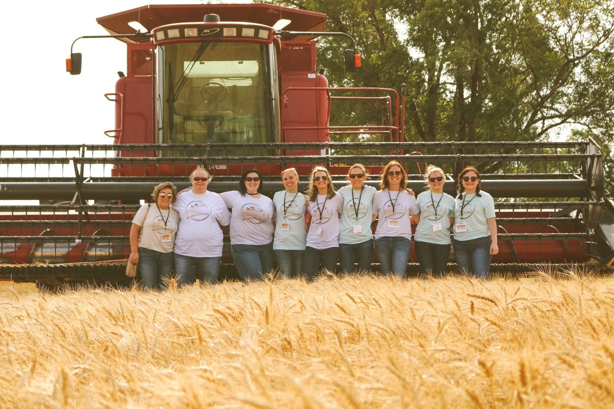 bloggers in wheat field