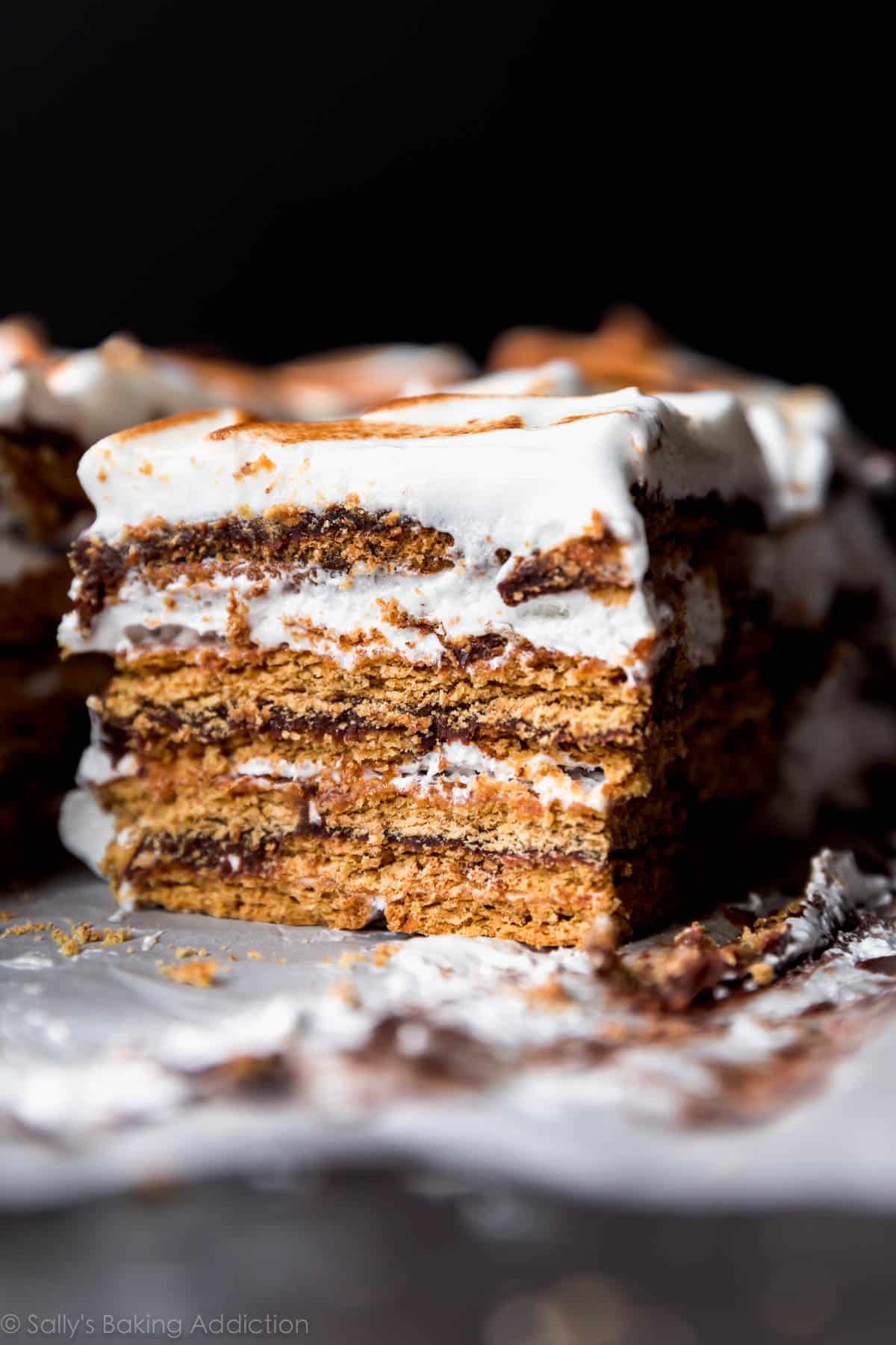 NoBake S'mores Cake Sallys Baking Addiction