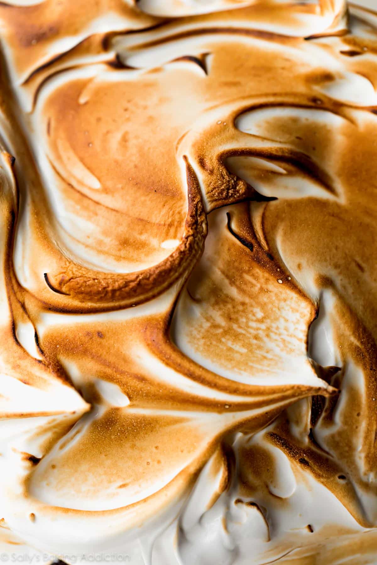 zoomed in image of toasted meringue brownie baked Alaska topping