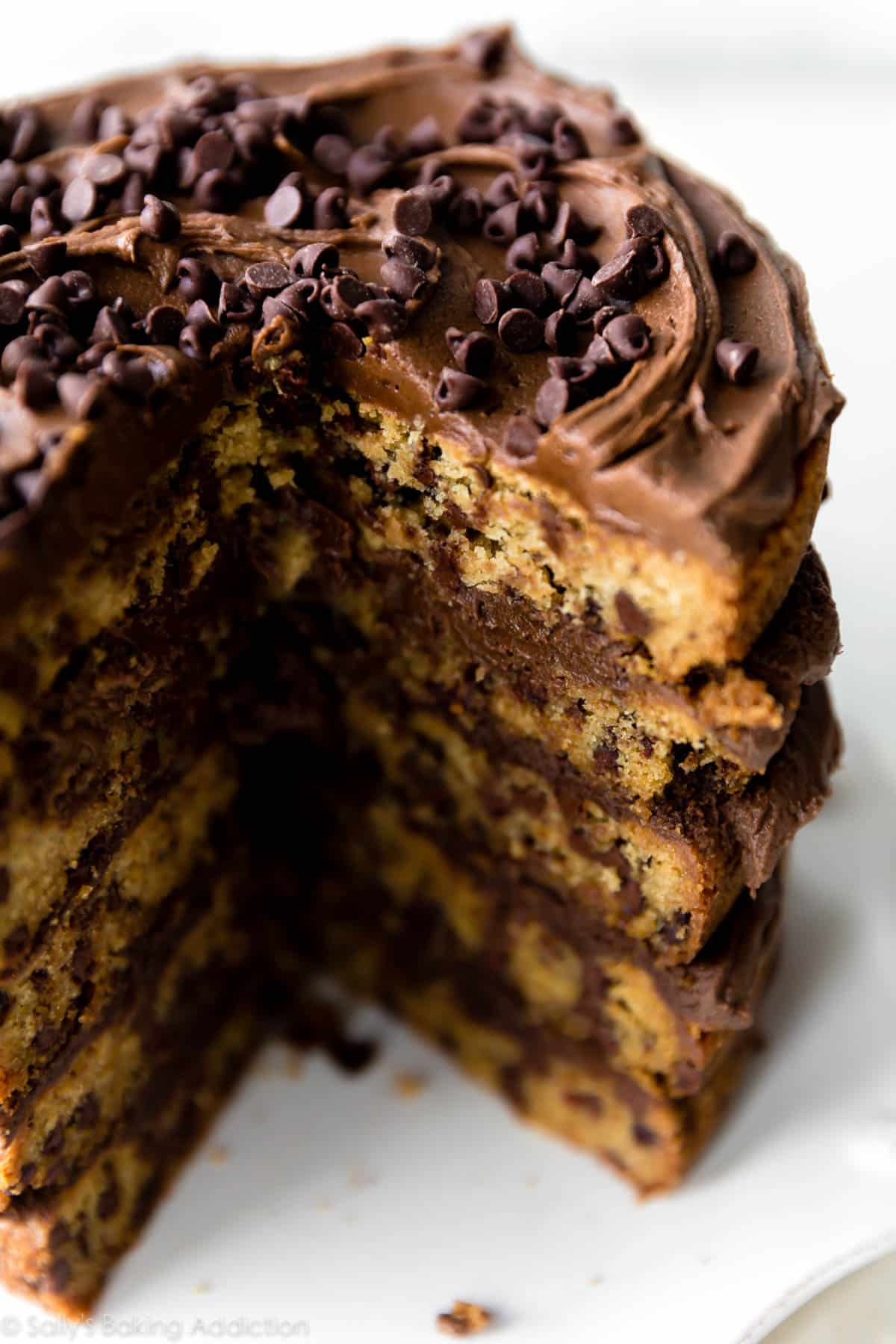 chocolate chip cookie layer cake on a white plate