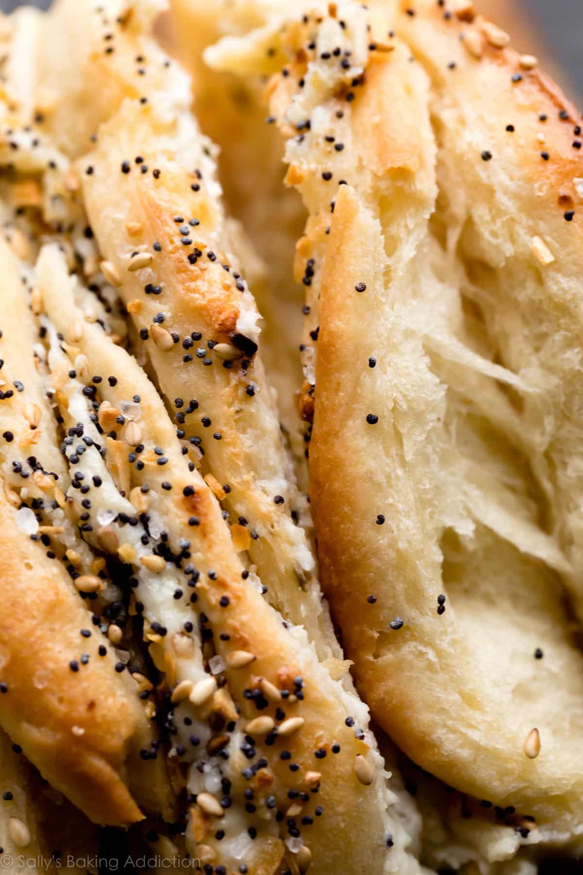 zoomed in image of everything bagel pull apart bread