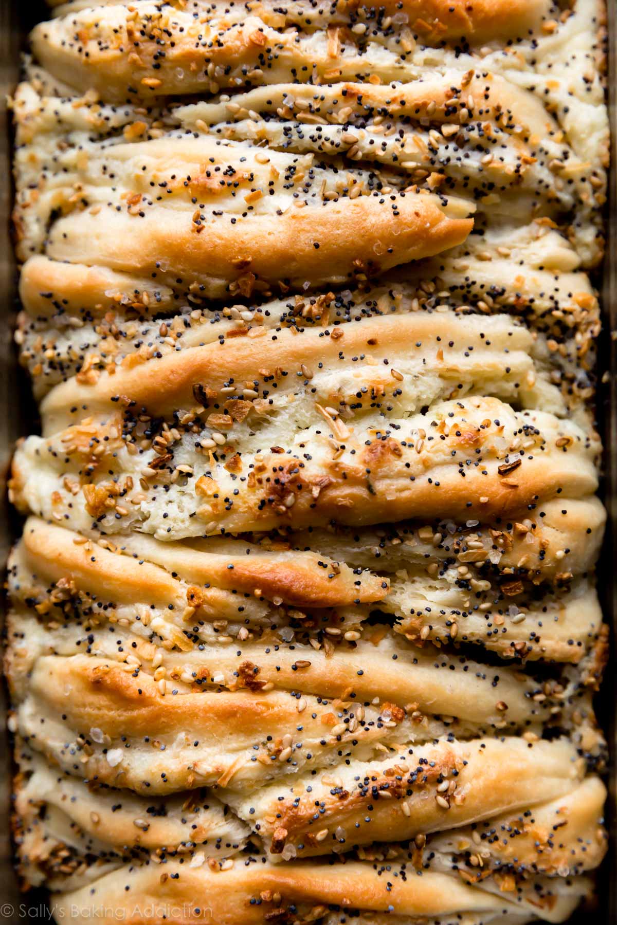 zoomed in image of everything bagel bread