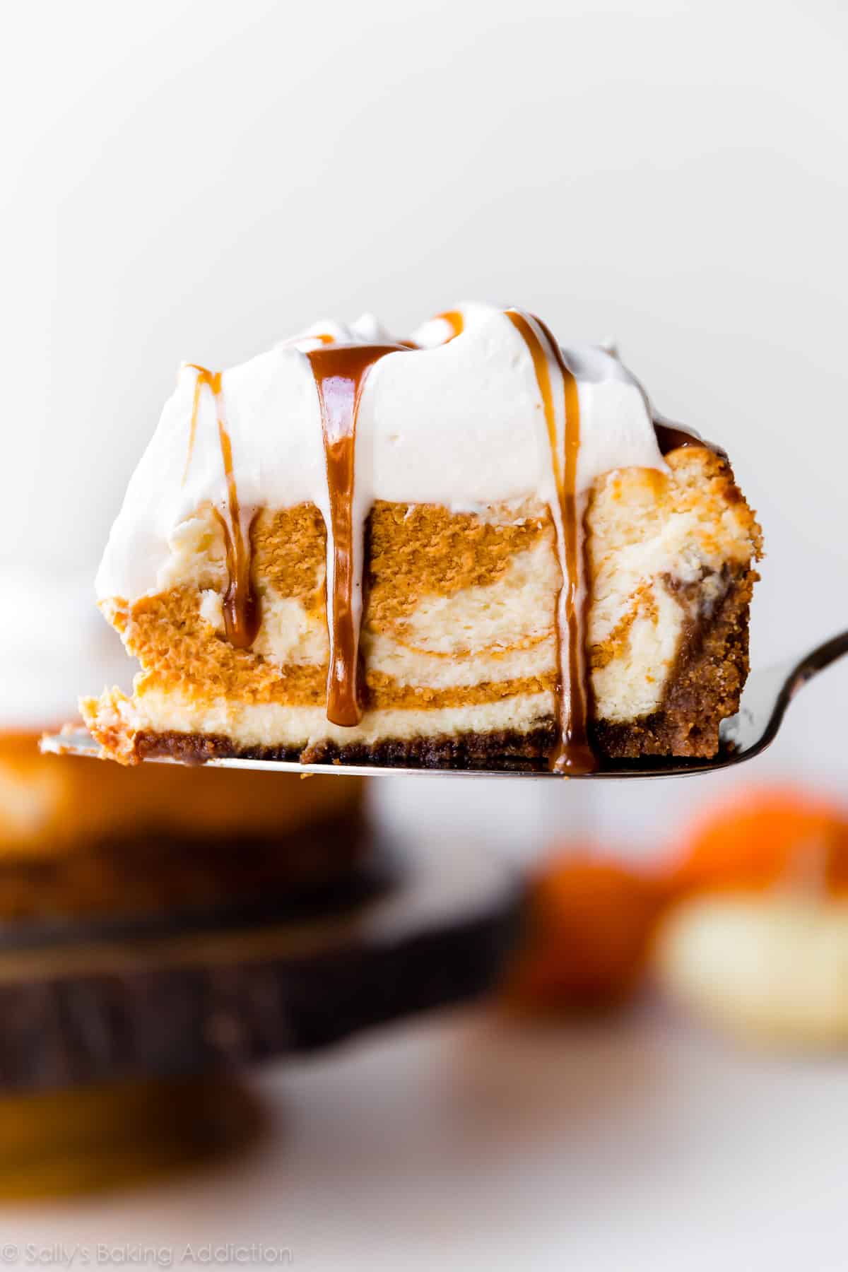 Pumpkin Swirl Cheesecake - Sally's Baking Addiction.
