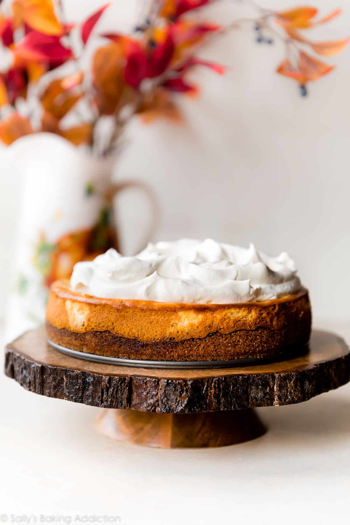 pumpkin cheesecake with whipped cream on a wood slice cake stand