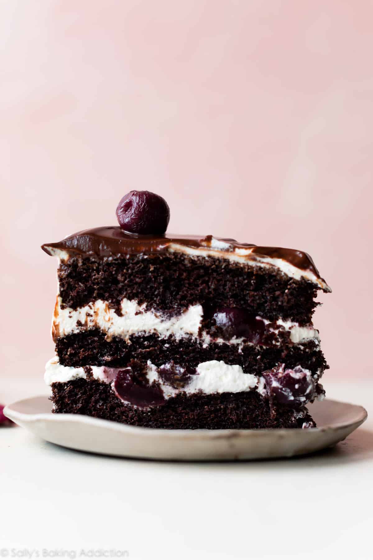 Slice of black forest cake on a plate