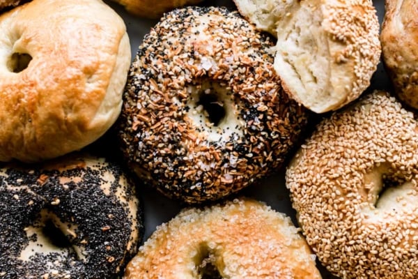 overhead image of a variety of bagels