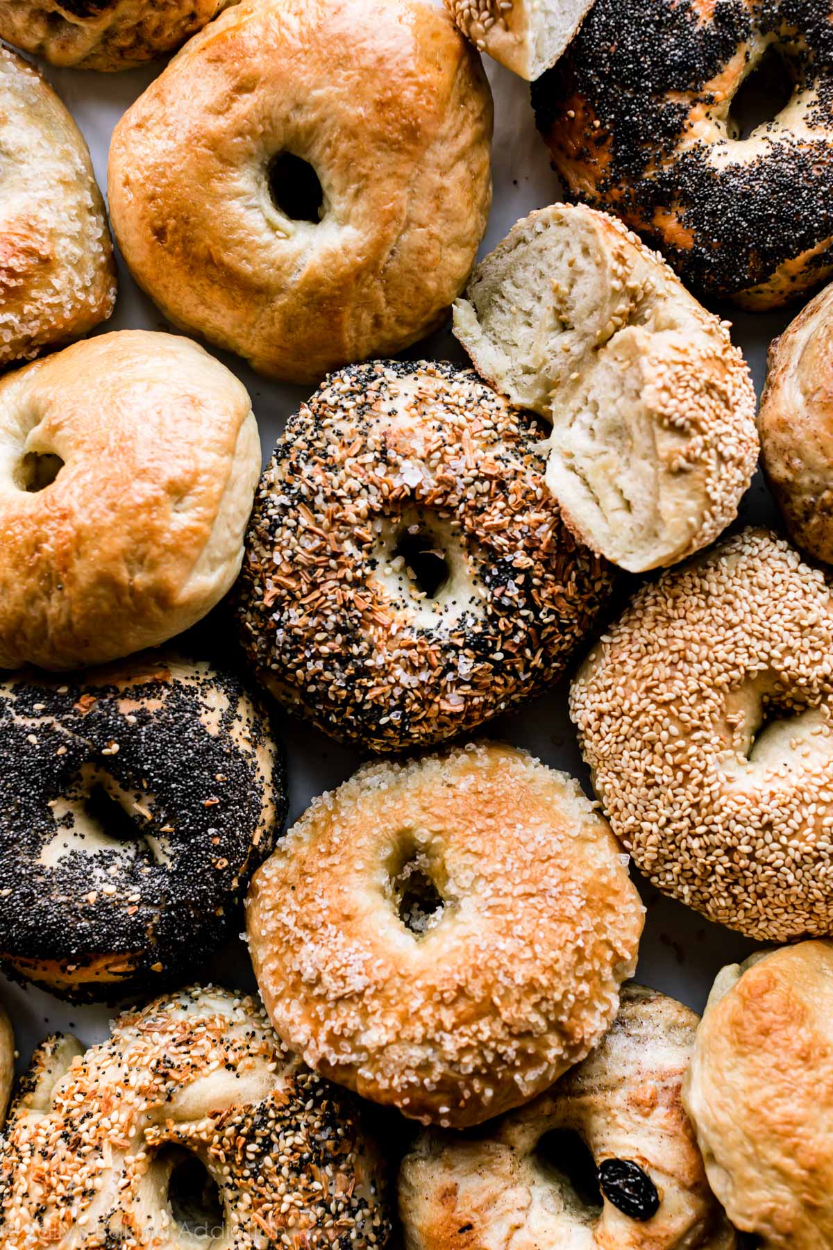 overhead image of a variety of bagels