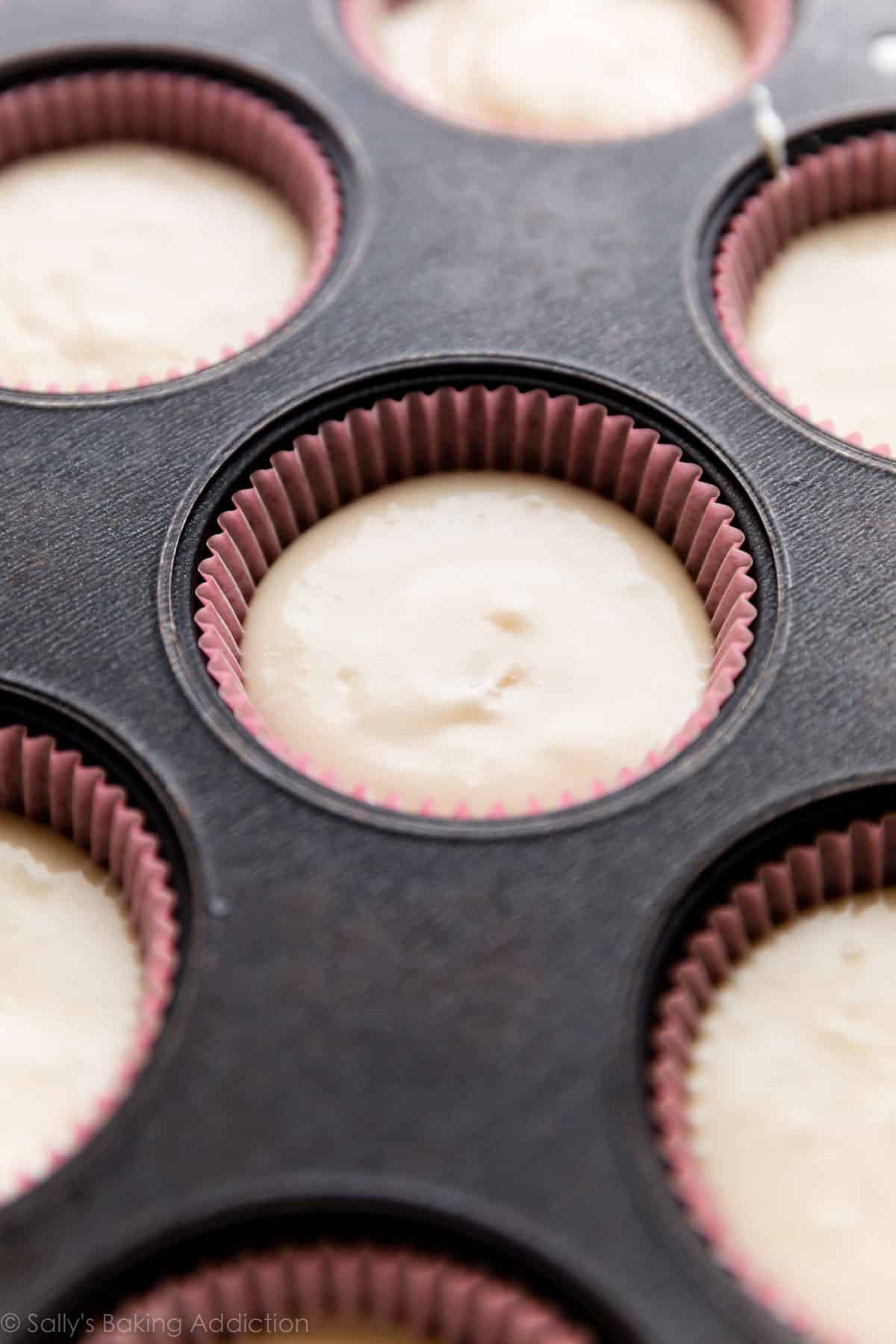 Vanilla cupcake batter in cupcake pan