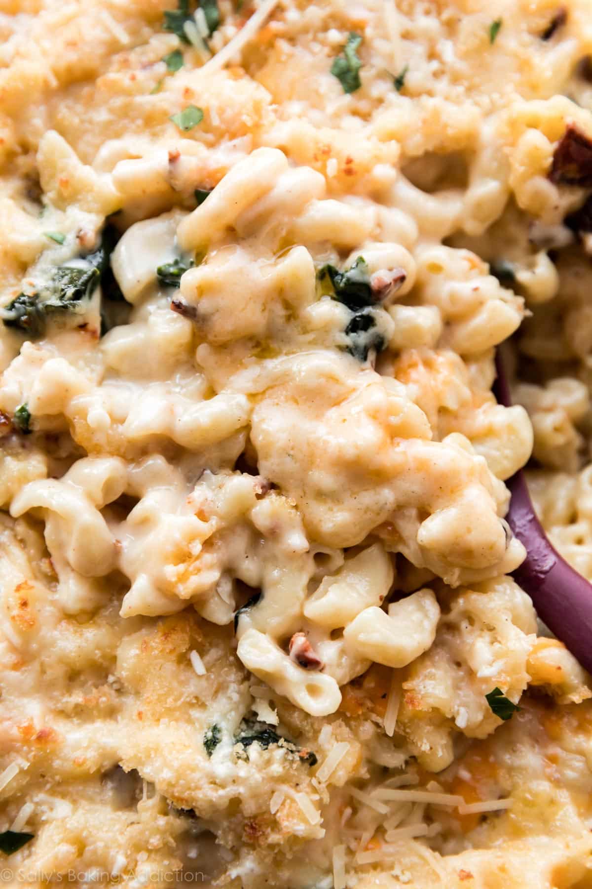 Macaroni and cheese with spinach and bacon