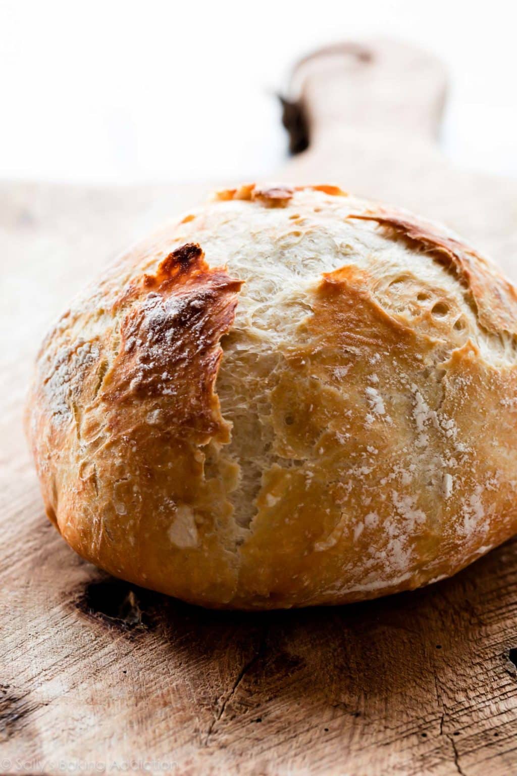 Trusted Baking Recipes from a SelfTaught Baker Sally's Baking Addiction