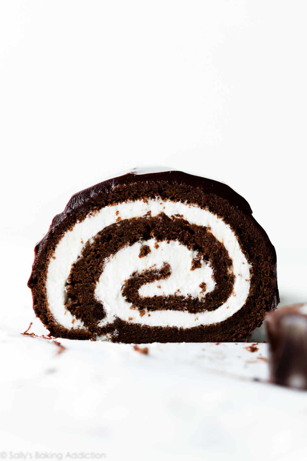 Chocolate Swiss roll cake with whipped cream filling