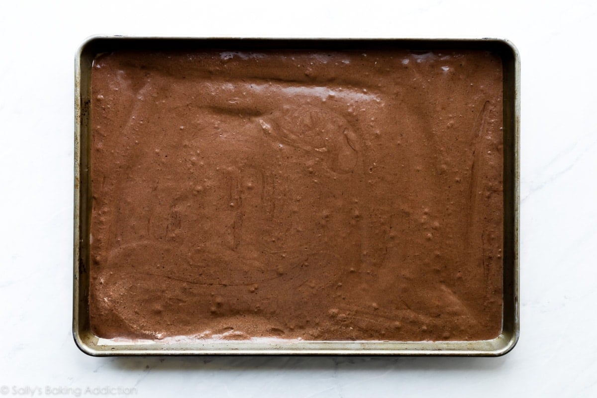 Chocolate Swiss roll cake batter in baking pan