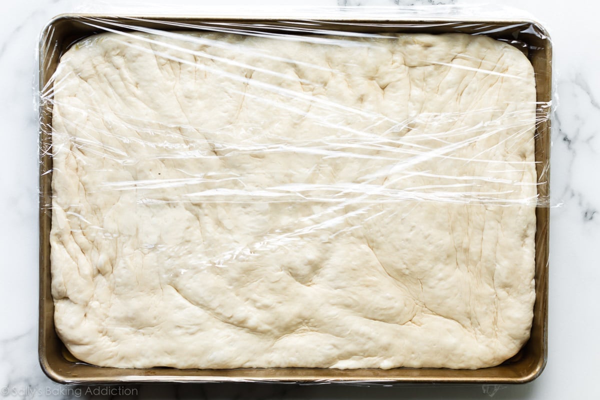 focaccia dough rising overnight on baking sheet