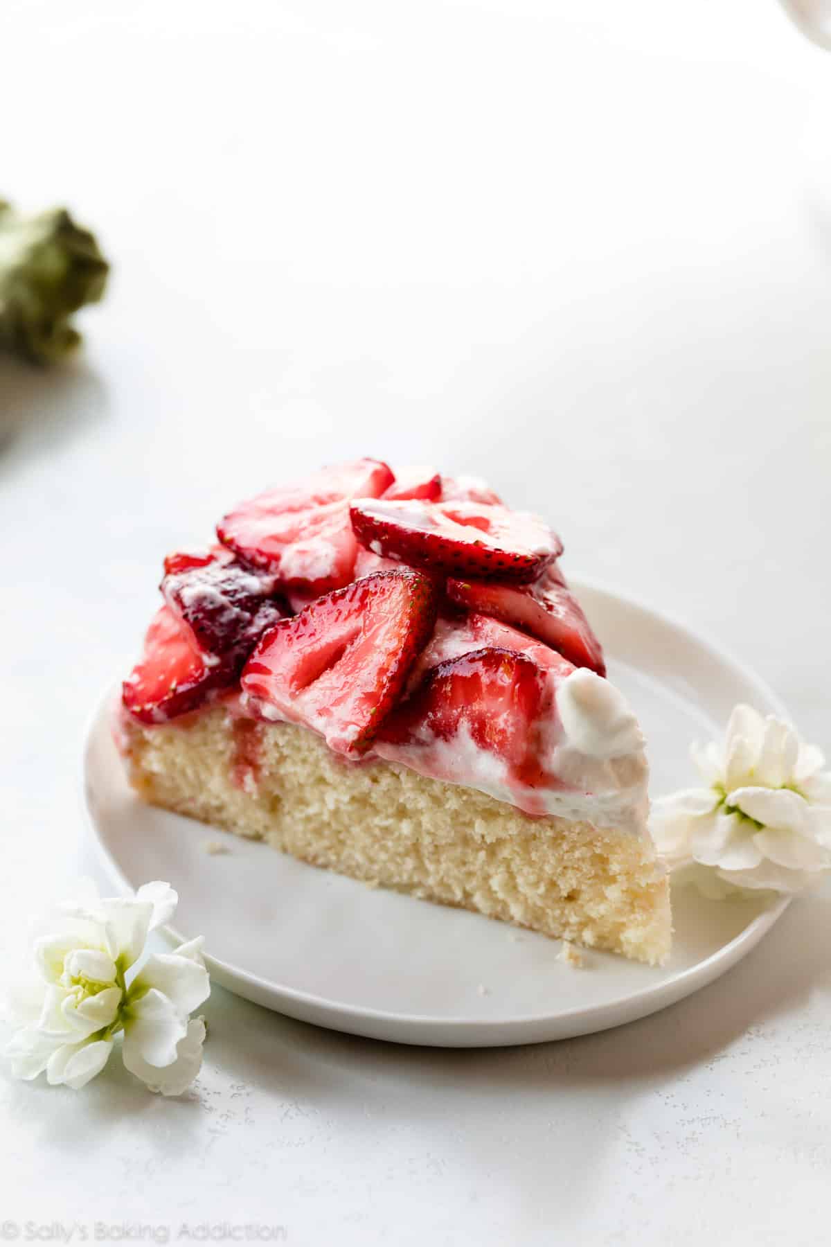 One layer vanilla cake topped with whipped cream and juicy strawberries