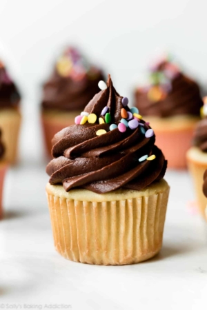 Yellow birthday cupcakes with chocolate frosting and sprinkles