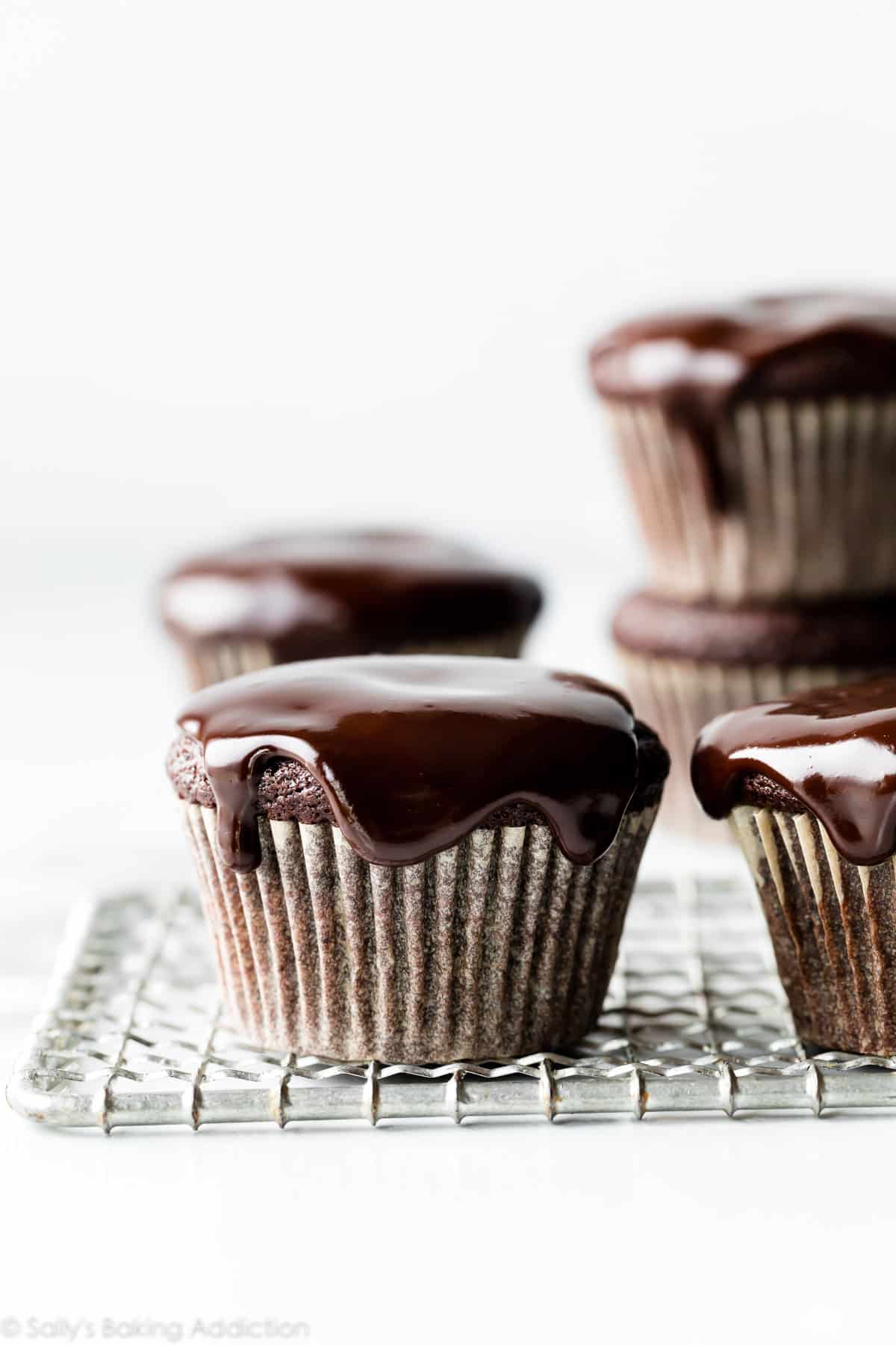 chocolate cupcakes with chocolate ganache