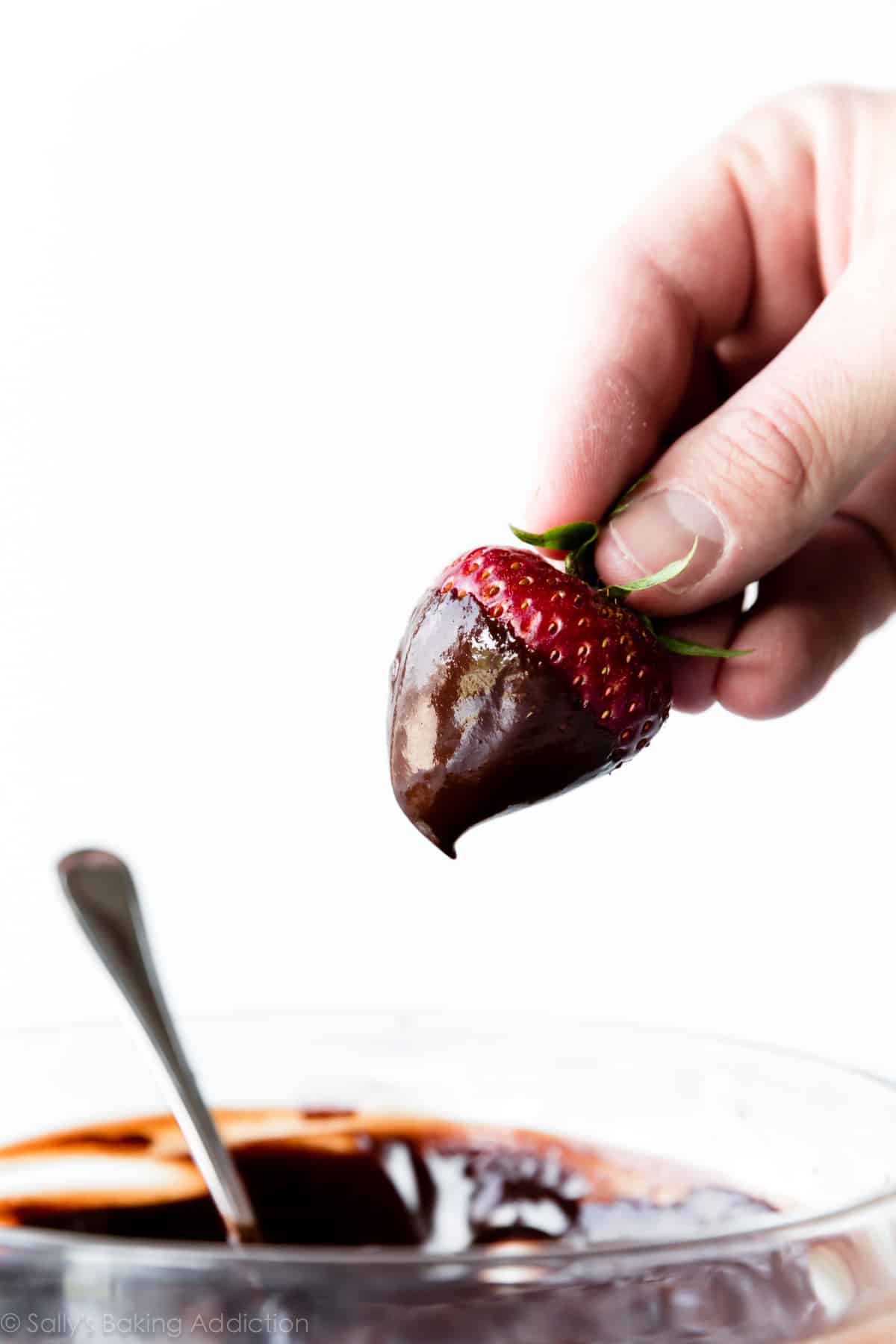 strawberry dipped in chocolate ganache