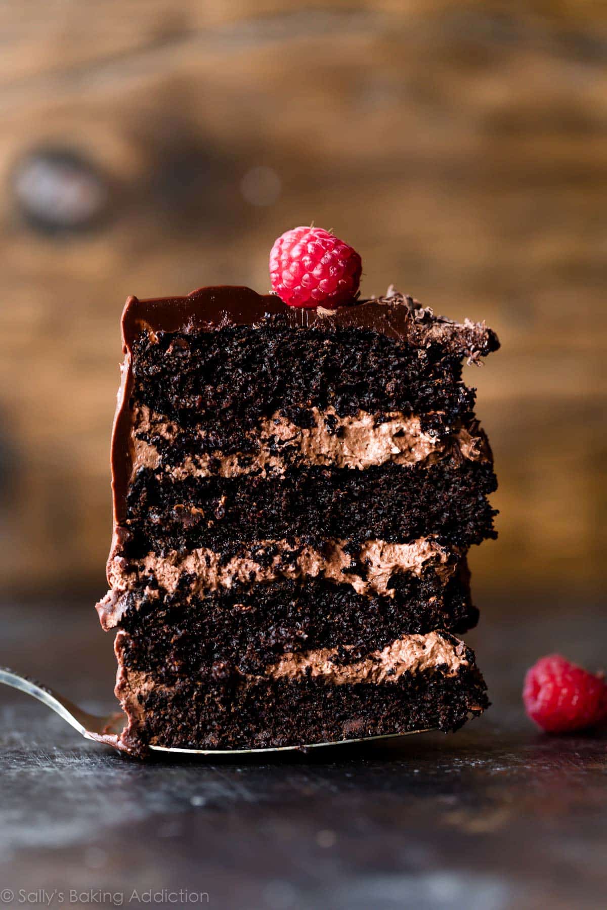 slice of dark chocolate mousse cake on a cake server