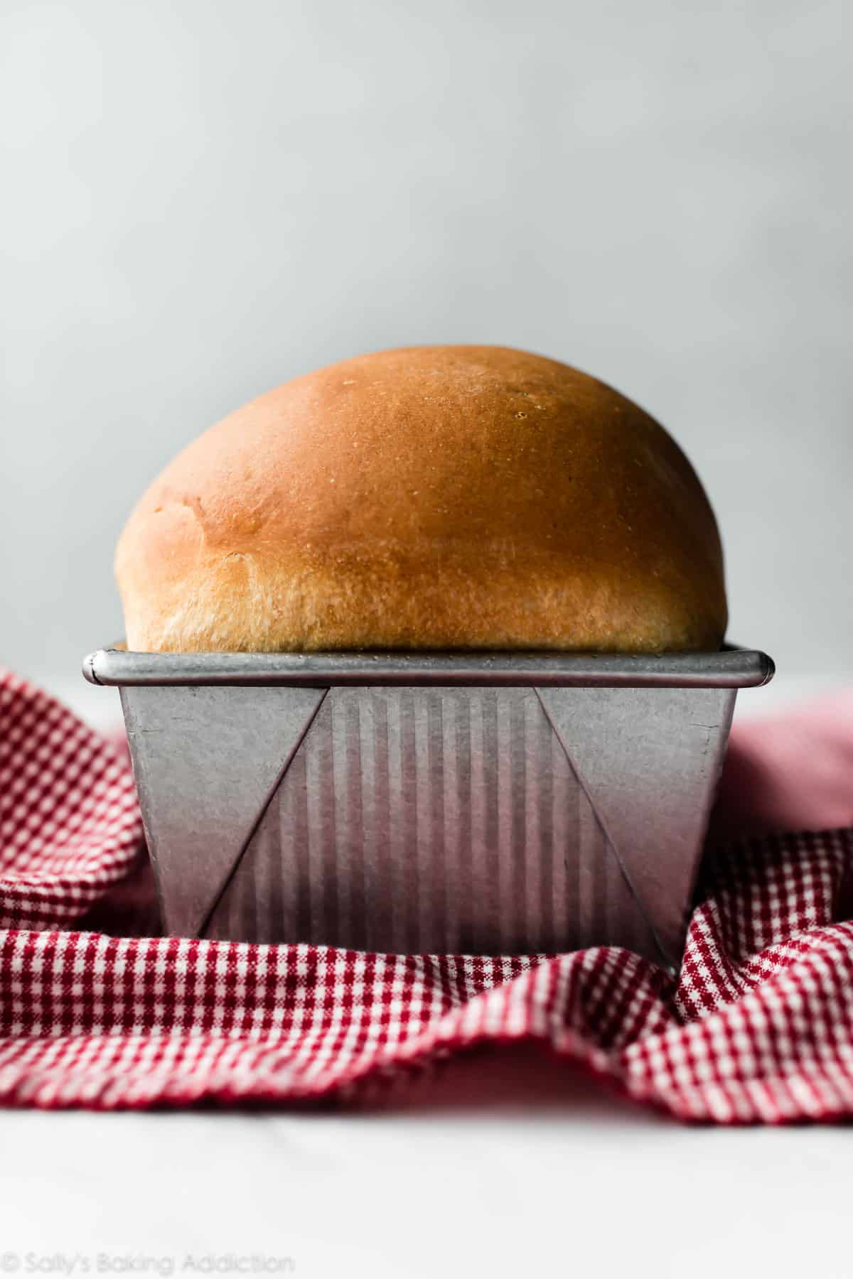 sandwich bread loaf in baking pan