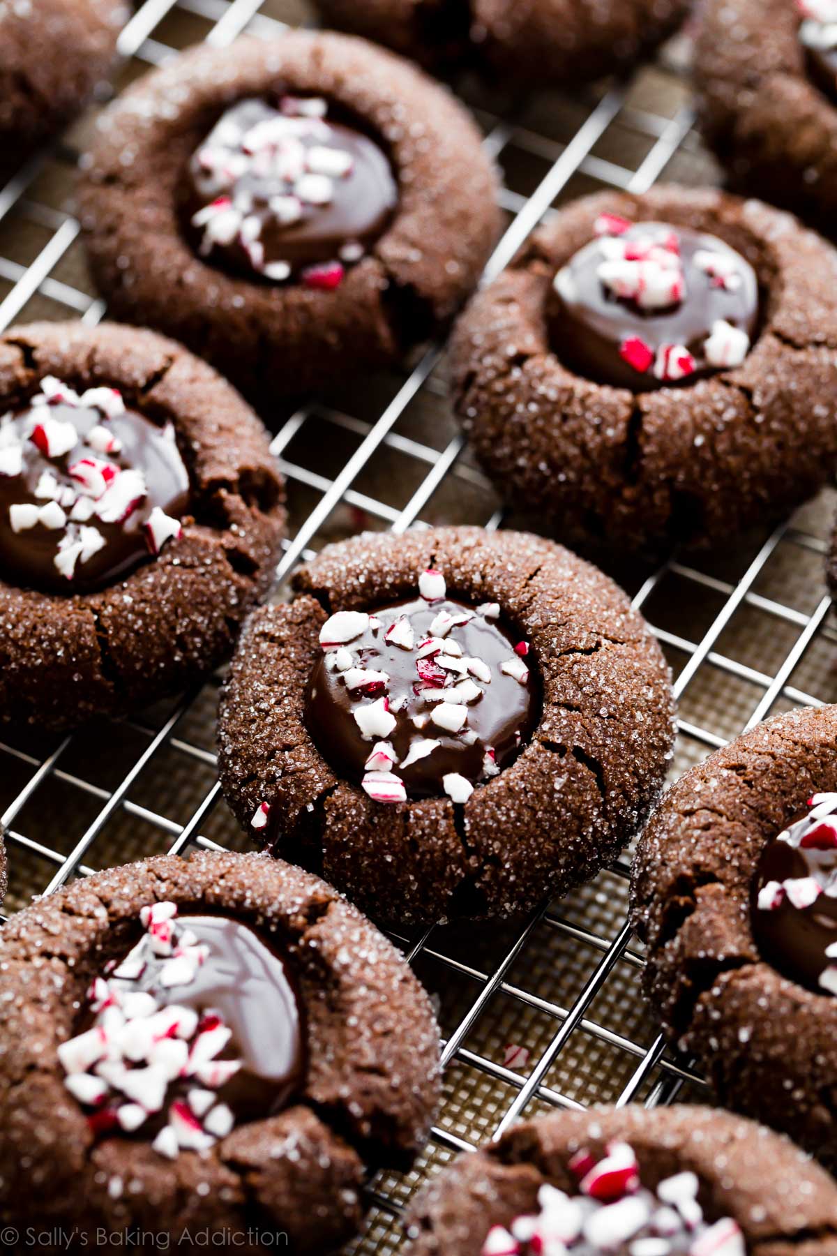 chocolate peppermint thumbprints with candy canes