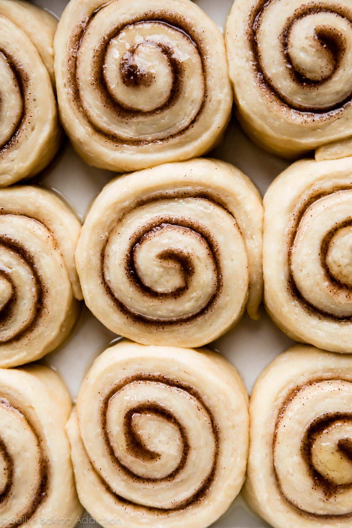 cinnamon rolls shaped dough