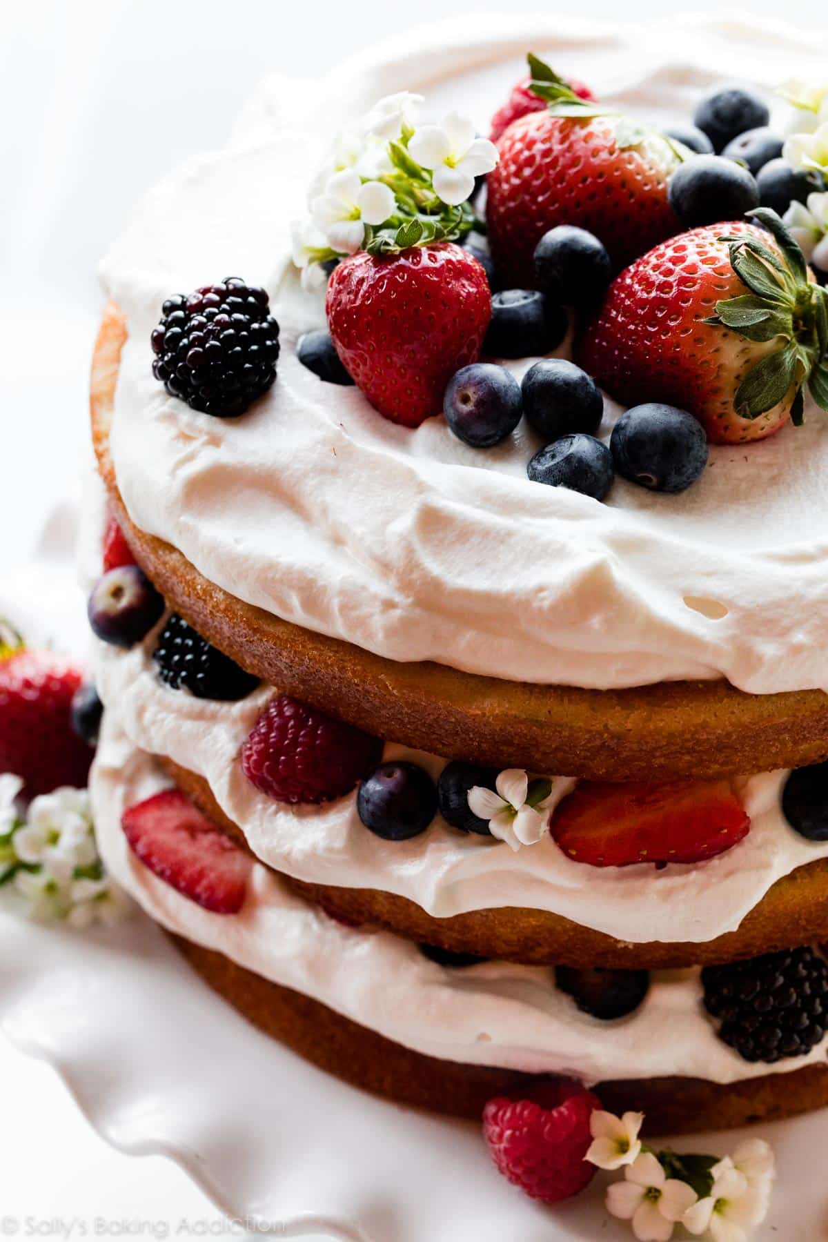 fresh berry and whipped cream cake