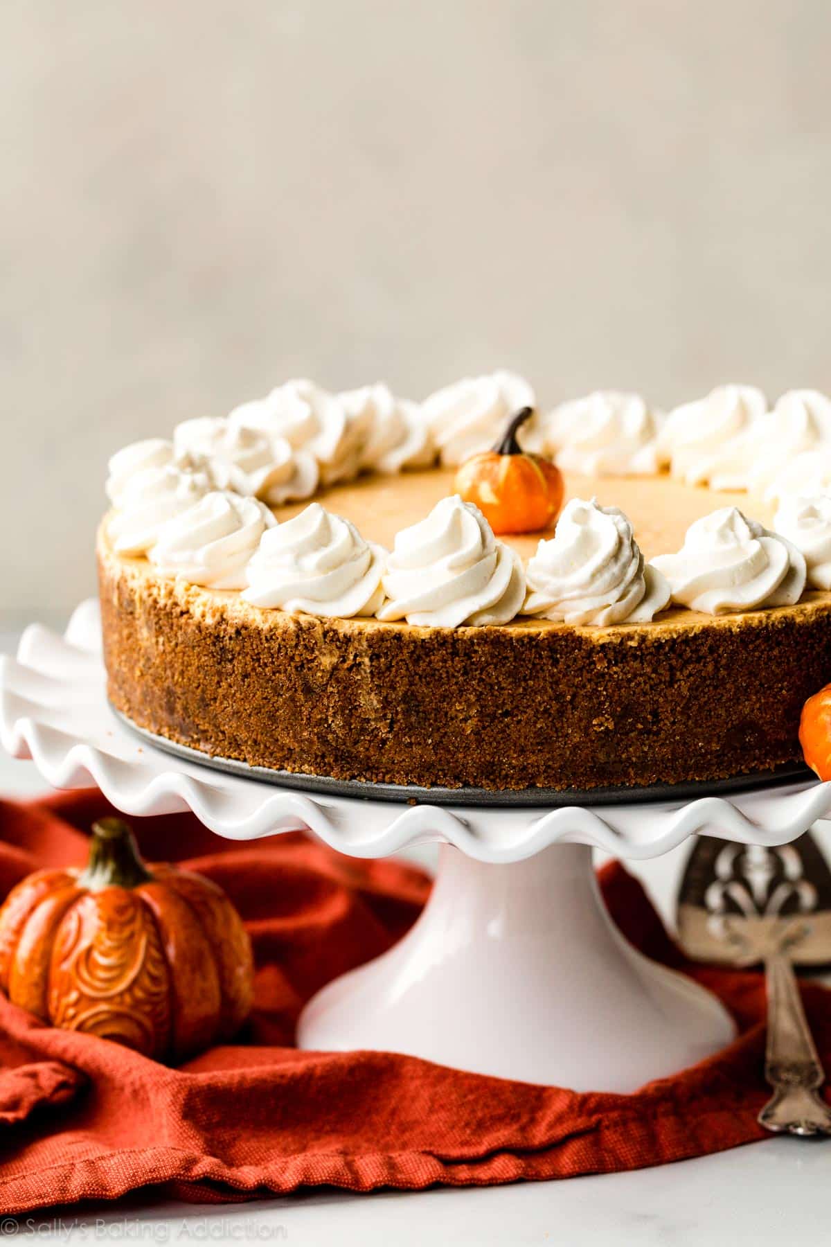 no bake pumpkin cheesecake with a gingersnap crust and whipped cream on top