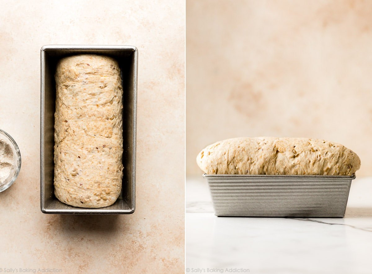 two photos of bread dough showing it before and after rising in loaf pan