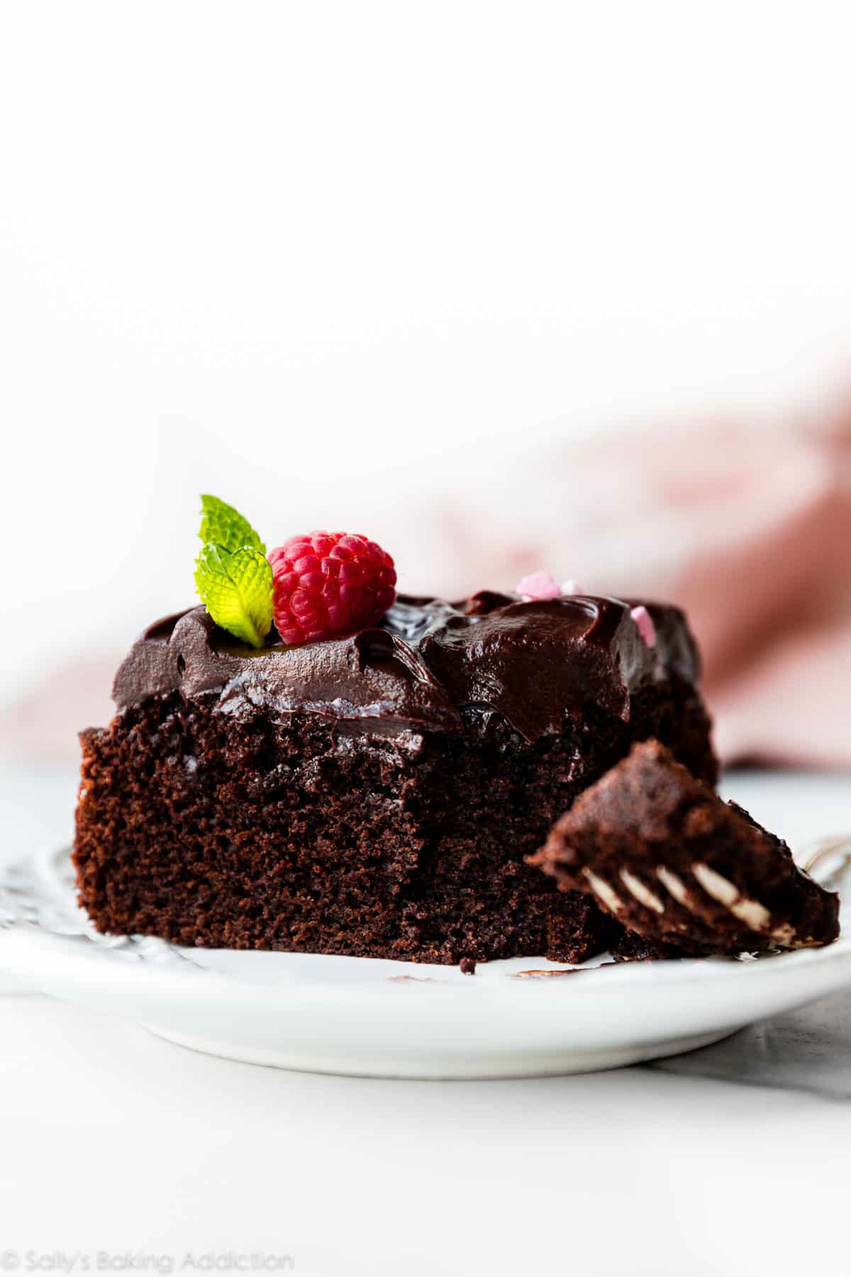 small slice of chocolate cake with chocolate ganache, mint, and a raspberry on top