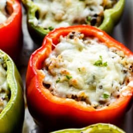 stuffed peppers with melted cheese on top